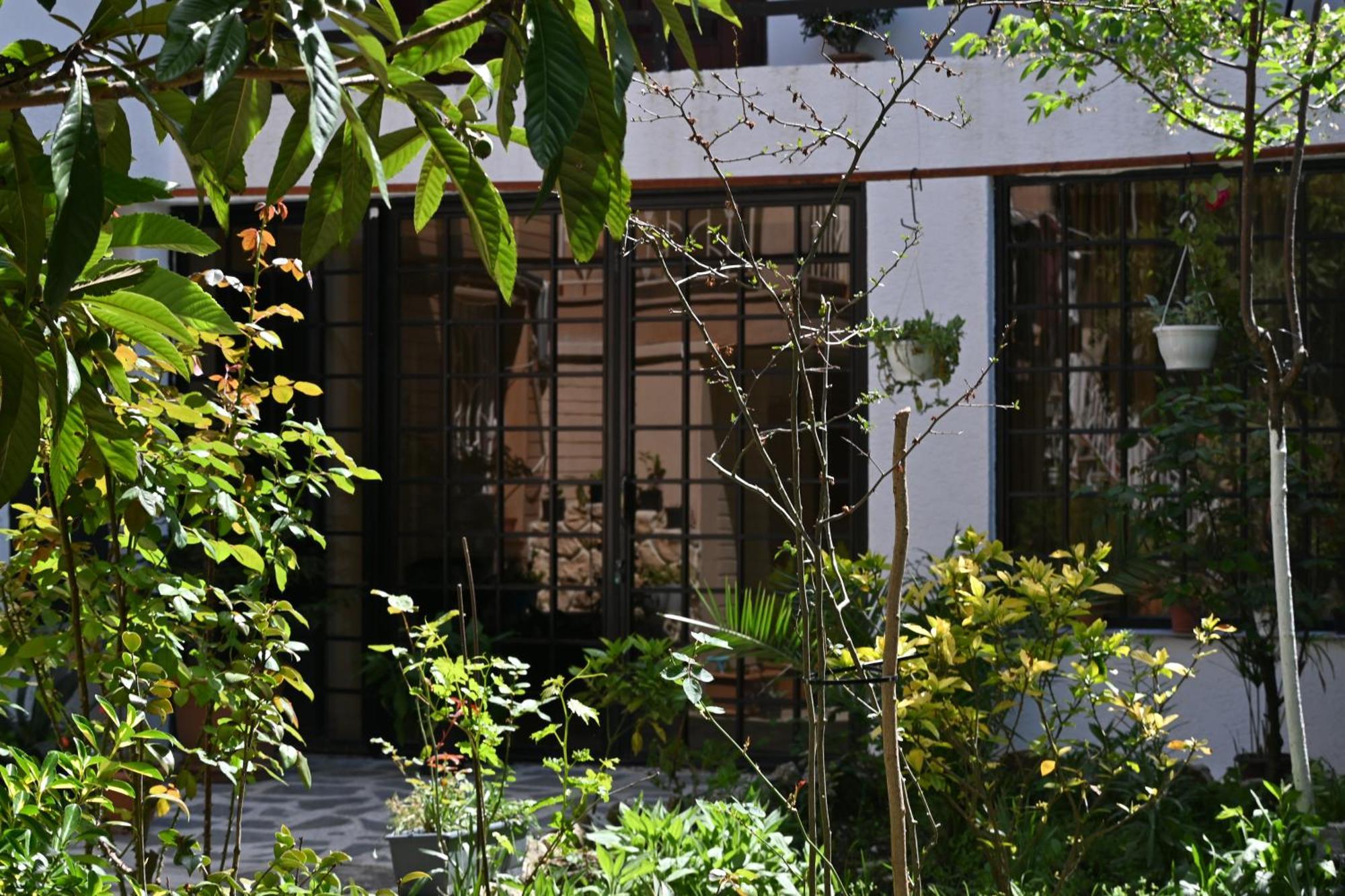 Jerusalem Merkaz Hotel 库塔伊西 外观 照片